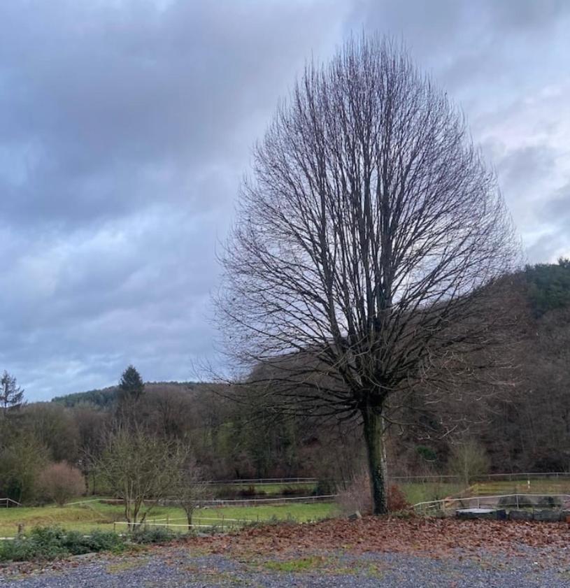 Le Ranch Des Aguesses Villa Andenne Eksteriør billede