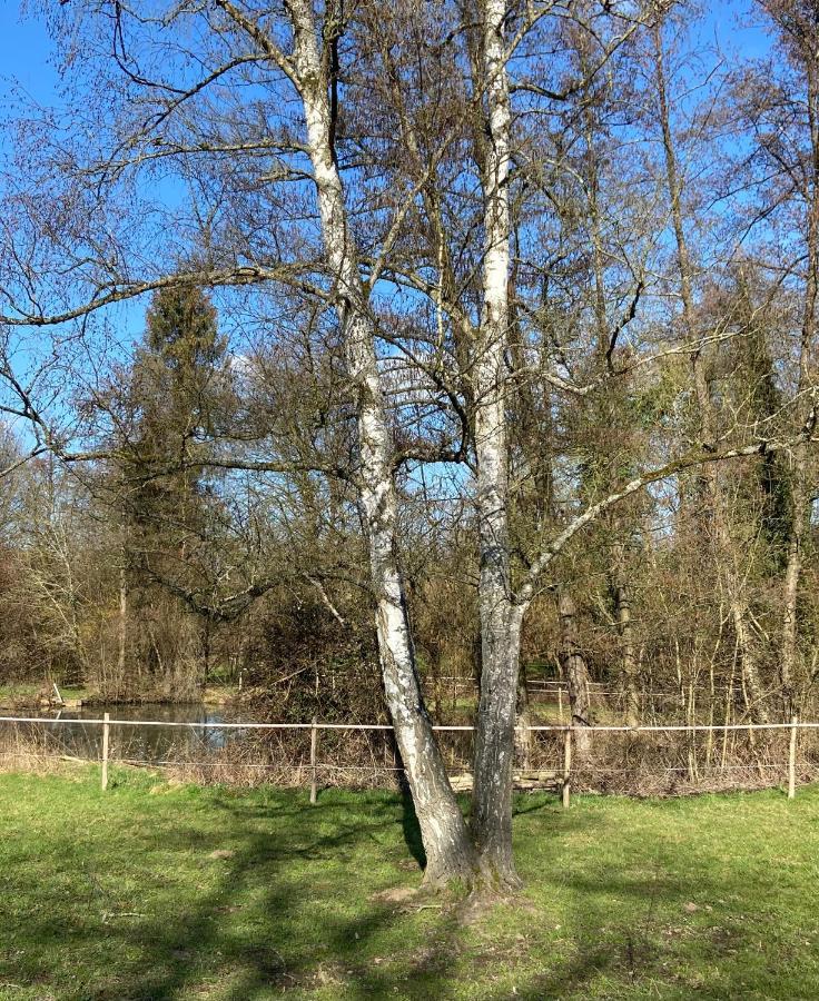 Le Ranch Des Aguesses Villa Andenne Eksteriør billede