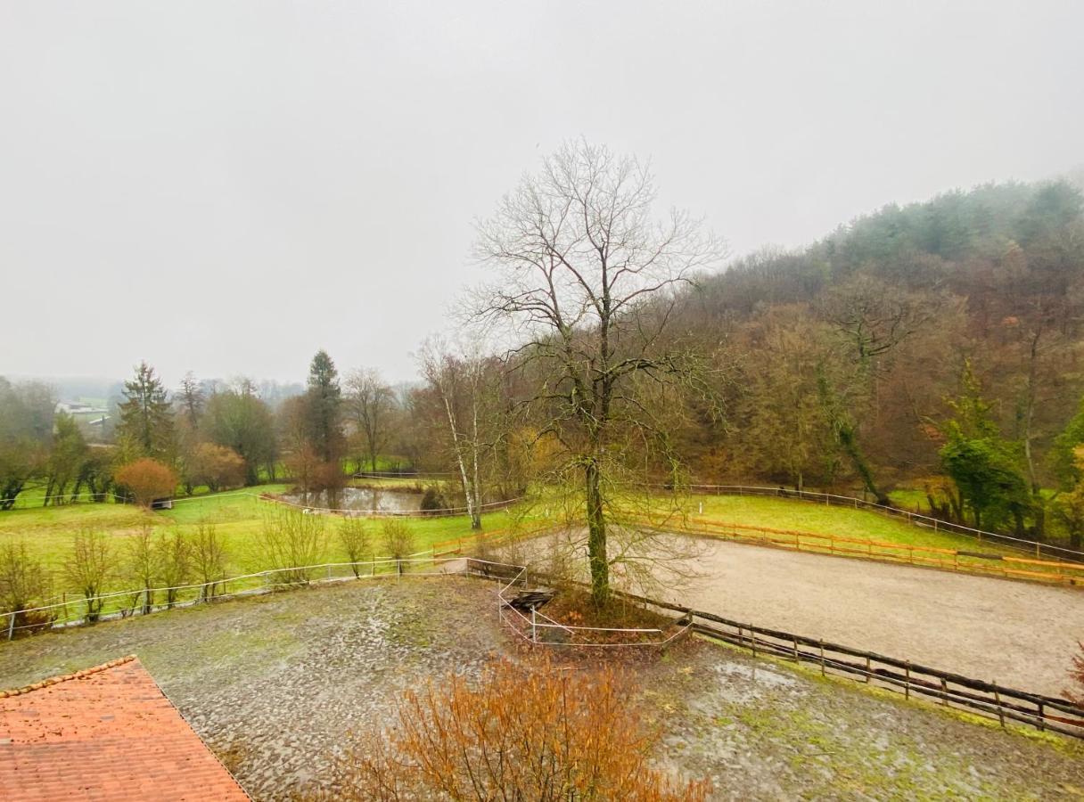 Le Ranch Des Aguesses Villa Andenne Eksteriør billede