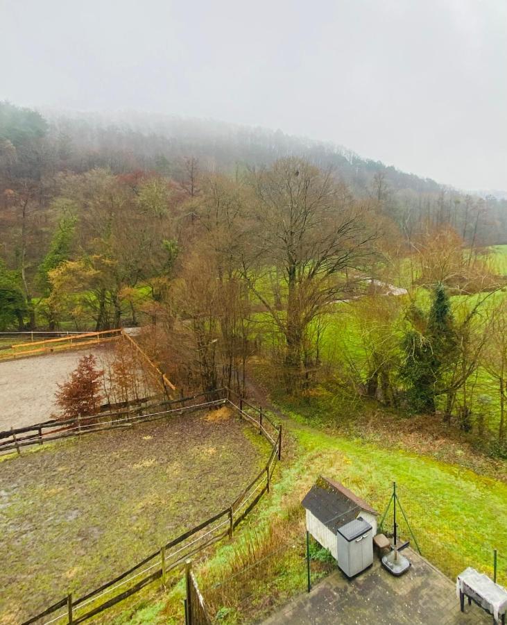 Le Ranch Des Aguesses Villa Andenne Eksteriør billede